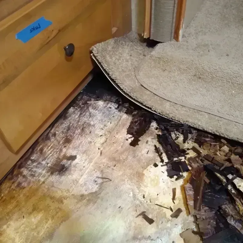 Wood Floor Water Damage in Fort Pierre, SD